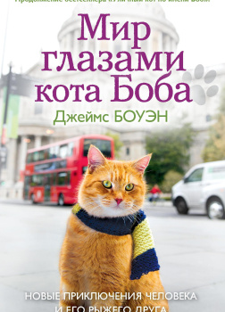 Мир глазами кота Боба