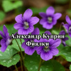 Куприн Александр – Фиалки