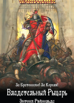 Рыцарь королевства