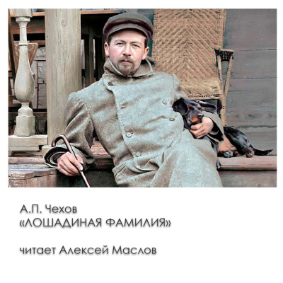 Лошадиная фамилия