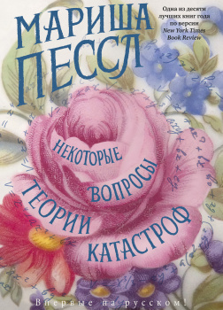 Некоторые вопросы теории катастроф