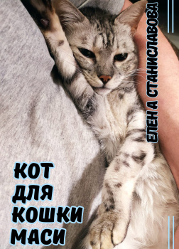 Кот для кошки Маси