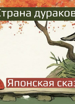 Страна дураков