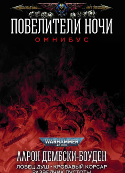 Рыцарь теней