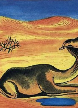 Как на спине верблюда появился горб?