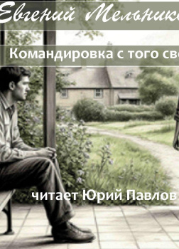Мельников Евгений – Командировка с того света