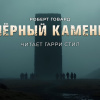 Говард  Роберт – Чёрный камень