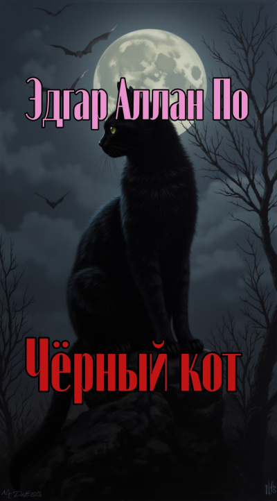 Чёрный кот
