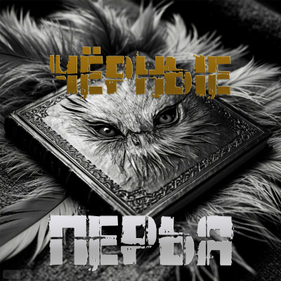 Чёрные перья