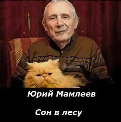 Сон в лесу