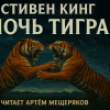 Кинг Стивен – Ночь тигра