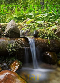 «Источник»