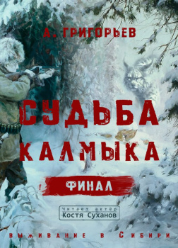 Григорьев Анатолий – Судьба Калмыка. Том 5. Финал.