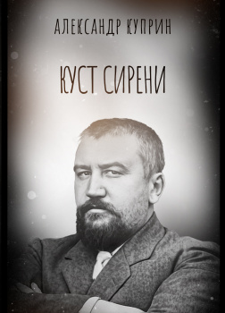Куст сирени