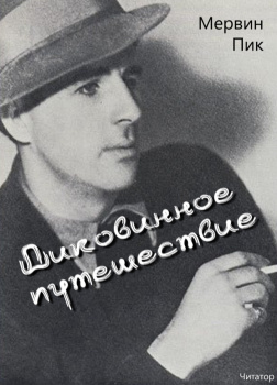 Диковинное путешествие