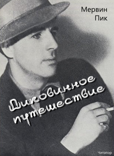 Диковинное путешествие