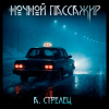 Ночной пассажир