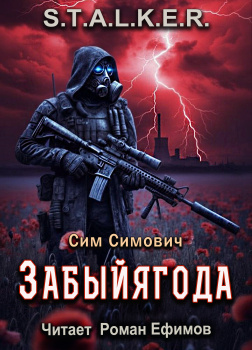 Симович Сим – S.T.A.L.K.E.R. Забыйягода