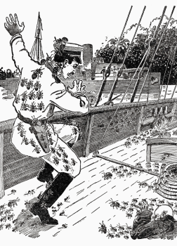 Царство муравьёв