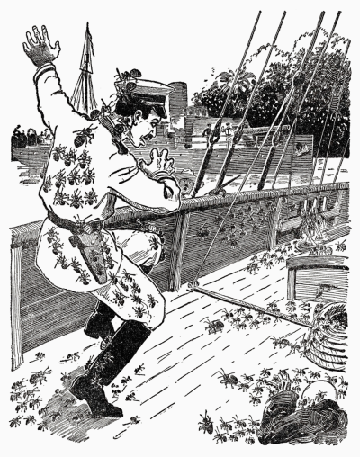 Царство муравьёв