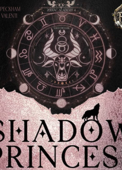 Академия Зодиак. Принцесса теней