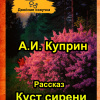 Куприн Александр – Куст сирени