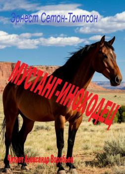 Мустанг- иноходец