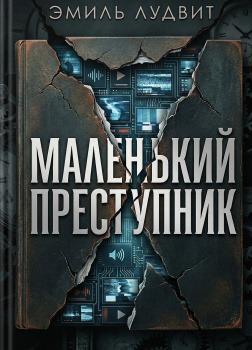 Маленький преступник