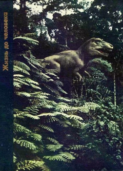 Вуд Питер – Жизнь до человека