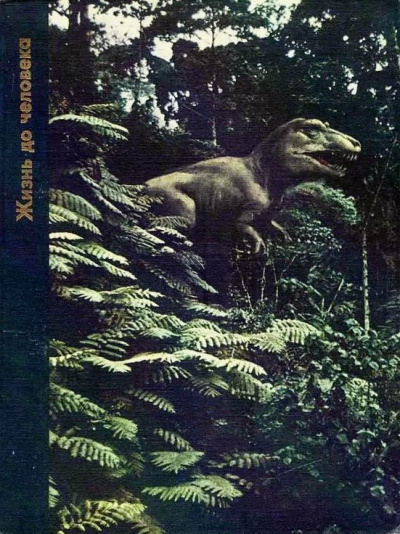 Жизнь до человека