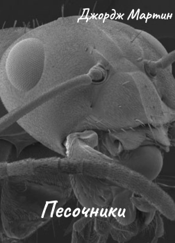 Мартин Джордж – Песочники
