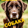 Собака